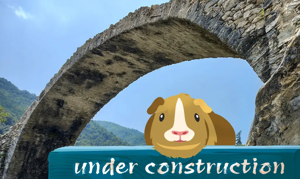 Zeichnung Baustellenschild mit Meerschwein